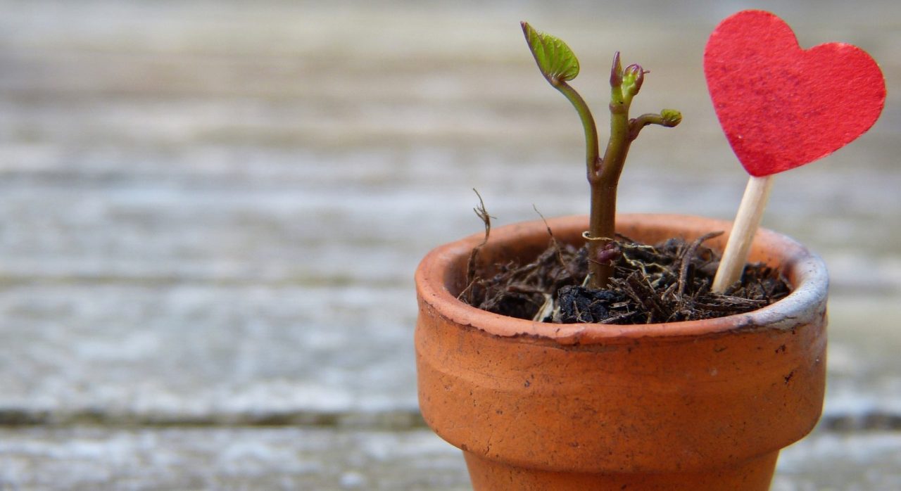 growth